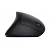 Trust Verto muis kantoor rechtshandig RF draadloos optisch 1600 DPI
