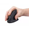 Trust Verto muis kantoor rechtshandig RF draadloos optisch 1600 DPI