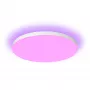 Philips Hue White and colour ambience Datura plafondlamp groot