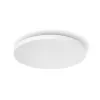 Philips Hue White and colour ambience Datura plafondlamp groot