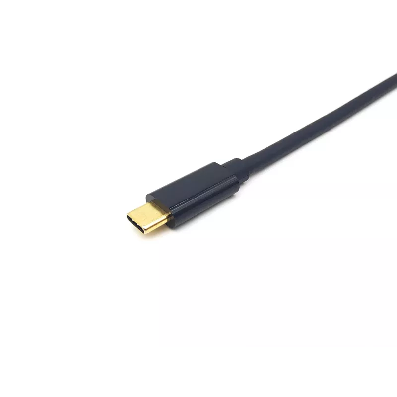 Equip USB-C naar DisplayPort kabel, stekker/stekker, 3,0 m, 4K/60Hz