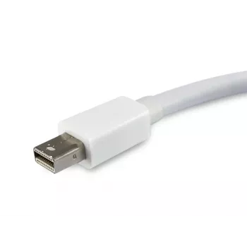 Mini DisplayPort naar DisplayPort adapter Equip 133440