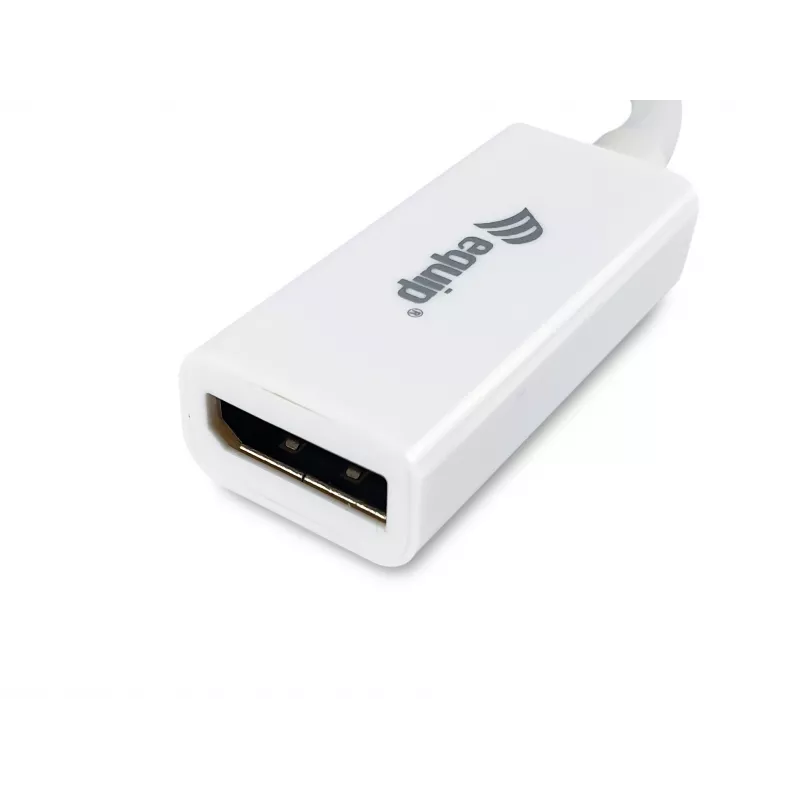 Mini DisplayPort naar DisplayPort adapter Equip 133440