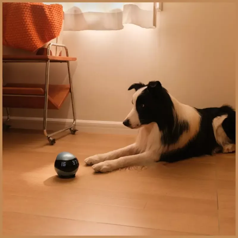 Bewakingsrobot Enabot EBO AIR 2 – mobiele thuisbeveiligingscamera, roze