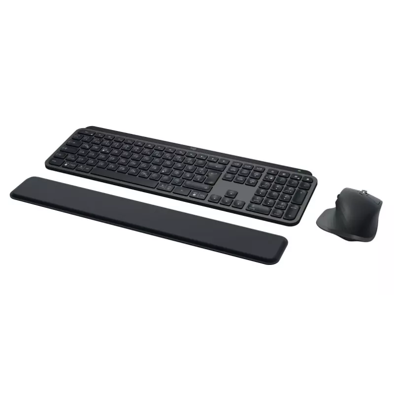 LOGITECH MX Keys Combo For Business Gen 2 - Graphite - Qwertz - Duits