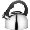 Lamart Lumier LT 7004 fluitketel voor op het fornuis, 2 l, roestvrij staal, geschikt voor inductie en gas, Inox