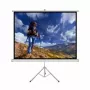 Projectiescherm ART ER T100 4:3
