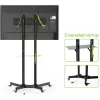 Techly rolwagen met legplank voor LCD/LED/Plasma 30-65 inch ICA-TR6