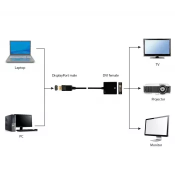 GEMBIRD DisplayPort naar DVI-adapterkabel – zwart