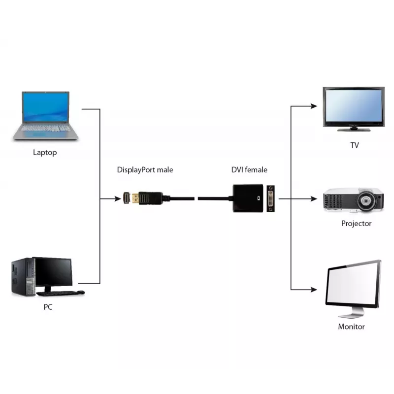 GEMBIRD DisplayPort naar DVI-adapterkabel – zwart