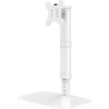 Techly ICA-LCD 260 monitorbeugel / standaard 68,6 cm (27 inch) bureau wit