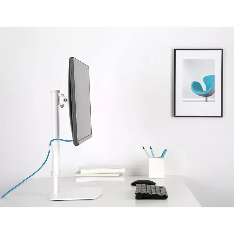 Techly ICA-LCD 260 monitorbeugel / standaard 68,6 cm (27 inch) bureau wit