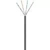 Techly ITP7-UTP-0100LO netwerkkabel zwart 100 m Cat5e U/UTP (UTP)