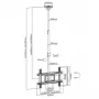 Plafondhouder MACLEAN MC-803 voor LED/LCD-monitoren 23–100 inch tot 50 kg VESA 600×400