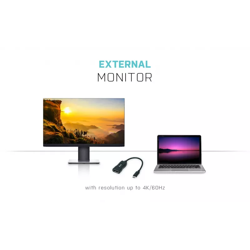 i-tec USB-C Display Port-adapter 4K/60 Hz