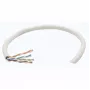 Intellinet netwerk bulk Cat6-kabel, 23 AWG, massieve draad, 305 m, grijs, CCA, U/UTP, doos