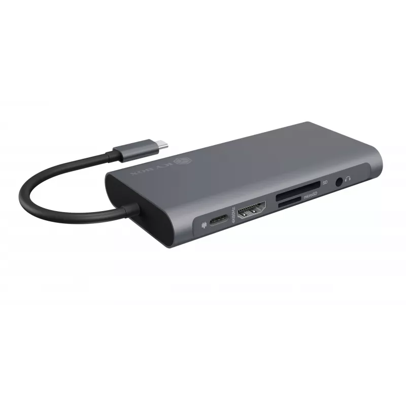 ICY BOX IB-DK4040-CPD bekabeld USB 3.2 Gen 1 (3.1 Gen 1) Type-C antraciet, zwart