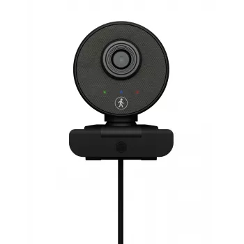 ICY BOX IB-CAM501-HD webcam 1920 x 1080 pixel USB 2.0 zwart