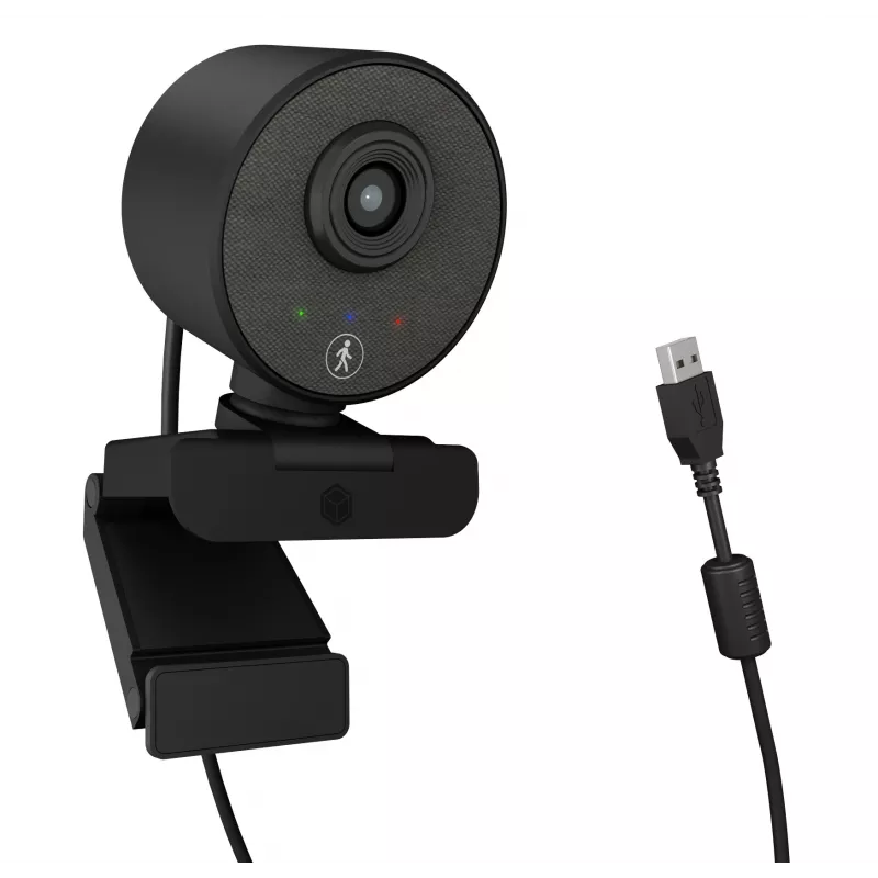 ICY BOX IB-CAM501-HD webcam 1920 x 1080 pixel USB 2.0 zwart