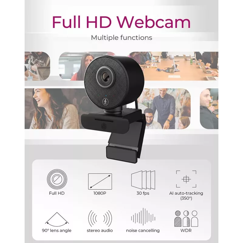ICY BOX IB-CAM501-HD webcam 1920 x 1080 pixel USB 2.0 zwart