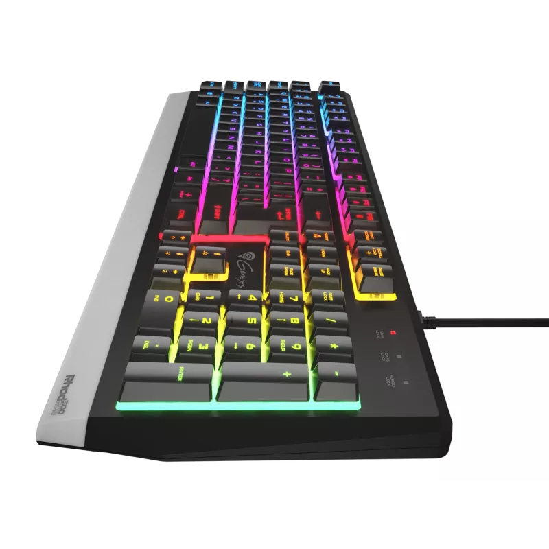 GENESIS Rhod 300 RGB toetsenbord gaming USB QWERTY Engels zwart