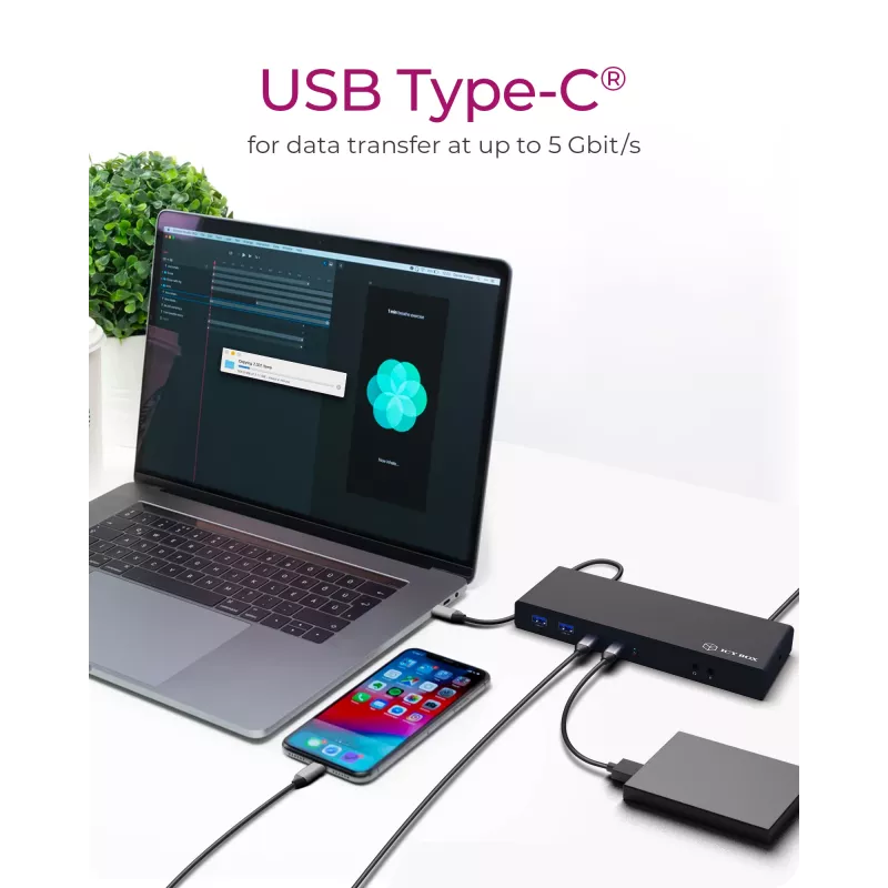 ICY BOX IB-DK2245AC bedraad USB 3.2 Gen 1 (3.1 Gen 1) Type-C zwart