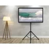 Techly universele vloerstandaard voor 17-60 inch televisies