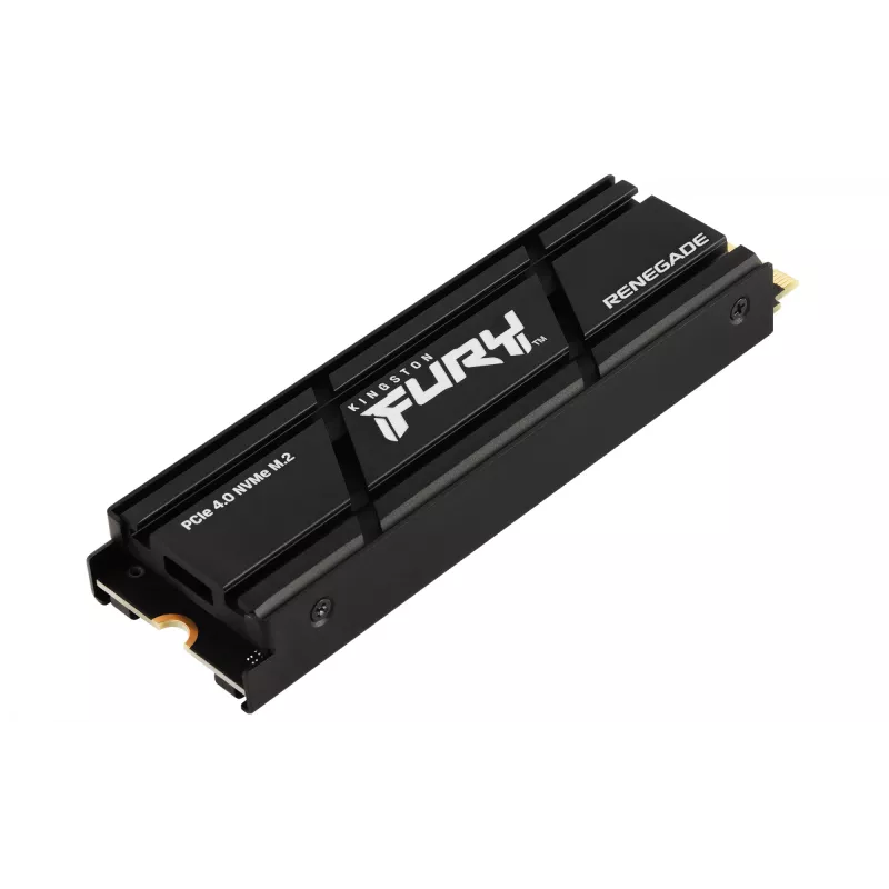 SSD Kingston Technology 4TB M.2 PCIe 4.0 RENEGADE