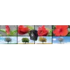 Compactcamera Technaxx TX-164 2 MP CMOS 1920 x 1080 pixel zwart