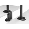 GEMBIRD bureauhouder voor één monitor, 17–32 inch