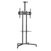 Techly ICA-TR216T mobiele tv-trolley voor schermen van 37–70 inch (tot 177,8 cm), max. 50 kg, 2 planken, zwart
