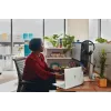 HP Poly Blackwire 3325 stereo USB-C headset +3.5mm plug +USB-C/A adapter