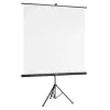 Hama 00021574 projectiescherm 2,19 m (86,2 inch) 1:1