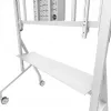 Neomounts MOVE Go XL FL50-575WH1 tv-trolley, 65-110 inch, max. 125 kg, VESA 100x100-1100x600, hoogte verstelbaar 129-139 cm, afsluitbaar, snelle installatie, TÜV-gecertificeerd, wit