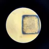 Educatieve microscoop Liscianigiochi Im A Genius 304-PL97388 — optische kinderset met vergroting om te leren
