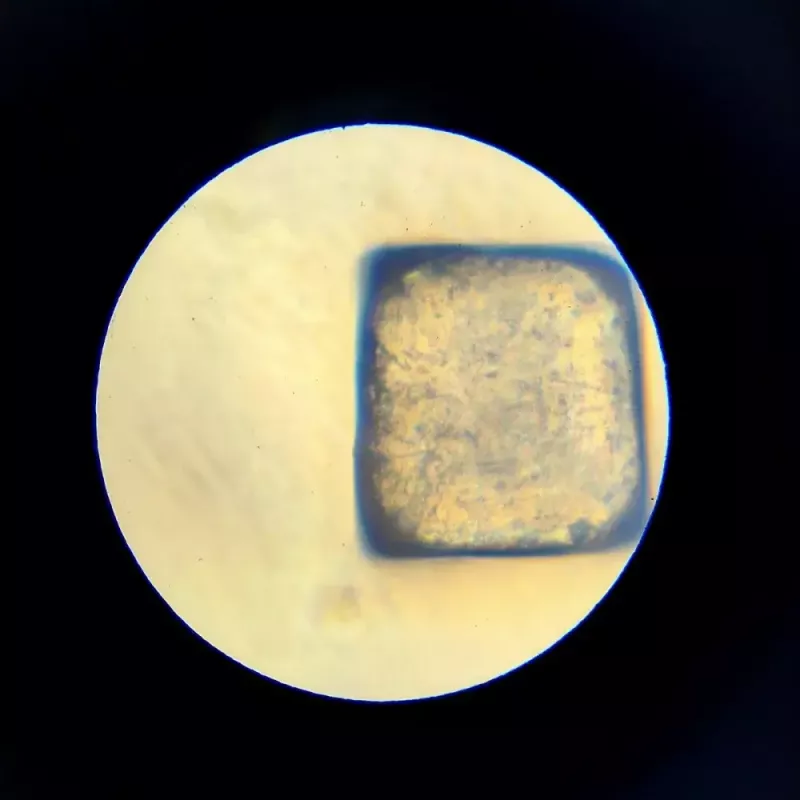 Educatieve microscoop Liscianigiochi Im A Genius 304-PL97388 — optische kinderset met vergroting om te leren