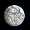Educatieve microscoop Liscianigiochi Im A Genius 304-PL97388 — optische kinderset met vergroting om te leren