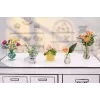 Miniverse - Make It Mini Botanicals, 8 jaar, meerkleurig, kunststof