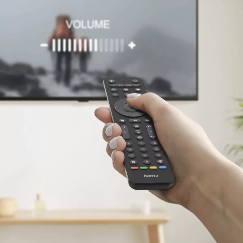 Hama 00221053 afstandsbediening IR draadloos TV drukknoppen