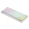 Gaming-toetsenbord Savio Phenix WHITE GAT geel USB Bluetooth QWERTY