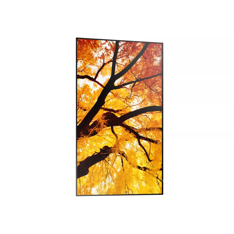 Sharp NEC MultiSync M322 (PN-M322) 32 inch (81,3 cm) digital signage-display, Full HD, 450 cd/m², 24/7, zwart