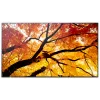 Sharp MultiSync M552 Digital Signage flatscreen 139.7 cm (55 inch) LCD 550 cd/m² 4K Ultra HD zwart touchscreen