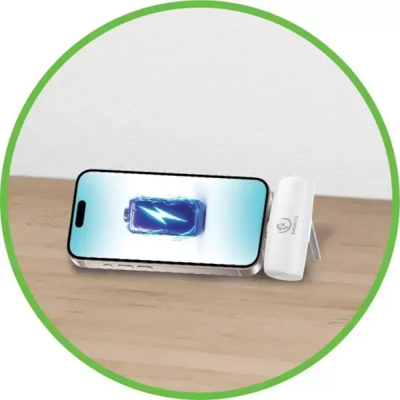 Draagbare powerbank P5 PLUG-IN 5000mAh