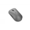 Lenovo Pro Plus 6050 muis kantoor dubbelhandig RF draadloos + Bluetooth optisch 2400 DPI