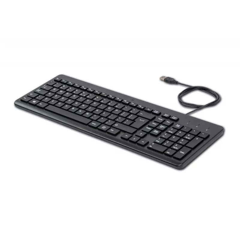 HP 150 bedrade toetsenbord, full-size (100%), bedraad, USB, mechanisch, QWERTY, zwart