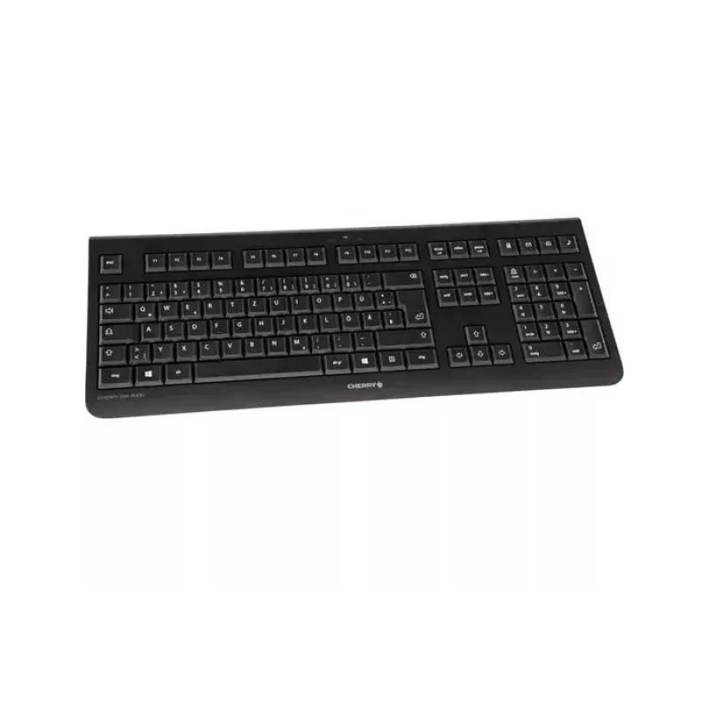 CHERRY DW 3000 toetsenbord muis inbegrepen universeel RF draadloos AZERTY Frans zwart
