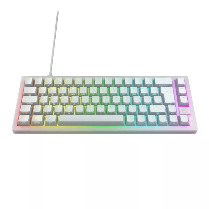 CHERRY XTRFY K5V2 RGB compact bedraad mechanisch 65%-gamingtoetsenbord, CHERRY MX2A Red, Duitse QWERTZ-indeling, wit