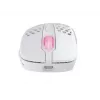 Muis Xtrfy M4 RGB RF draadloos optisch 19000 DPI