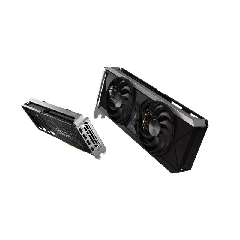 Grafische kaart Intel Arc B570 10 GB GDDR6