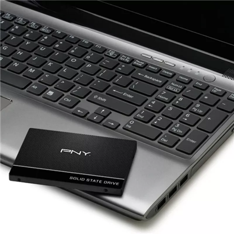 SSD PNY 250 GB 2,5